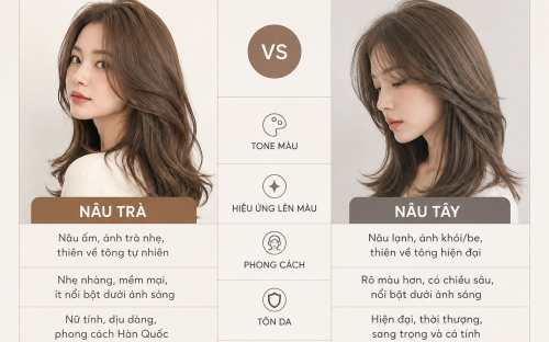 Nâu Trà có gì khác Nâu Tây? So sánh chi tiết để chọn màu tóc phù hợp