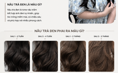 Nâu Trà Đen phai ra màu gì? Giải đáp chi tiết cho người lần đầu nhuộm