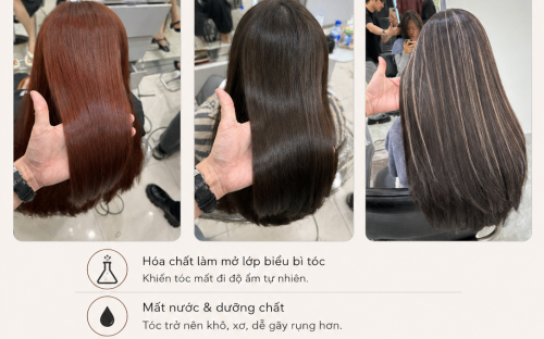 Vì Sao Tóc Nhuộm Dễ Khô Xơ? Nguyên Nhân Và Cách Chăm Sóc Hiệu Quả
