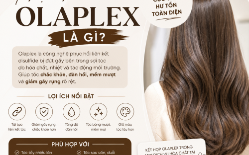 Phục hồi Olaplex là gì? Giải pháp phục hồi tóc hư tổn được nhiều salon chuyên nghiệp lựa chọn