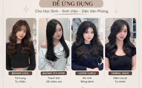 Top màu tóc dễ ứng dụng cho học sinh, sinh viên và dân văn phòng