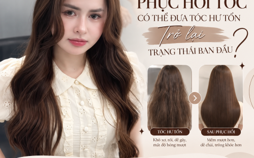 PHỤC HỒI TÓC CÓ THỂ ĐƯA TÓC HƯ TỔN TRỞ LẠI TRẠNG THÁI BAN ĐẦU KHÔNG?